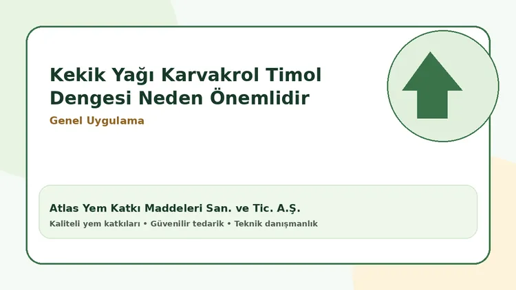 Kekik Yağı Karvakrol Timol Dengesi Neden Önemlidir