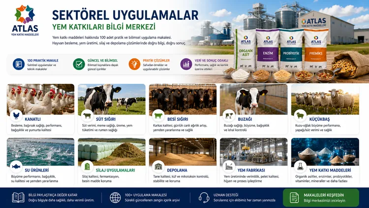 Yem Katkılarında Ambalaj Seçimi ve Depo Yönetimi